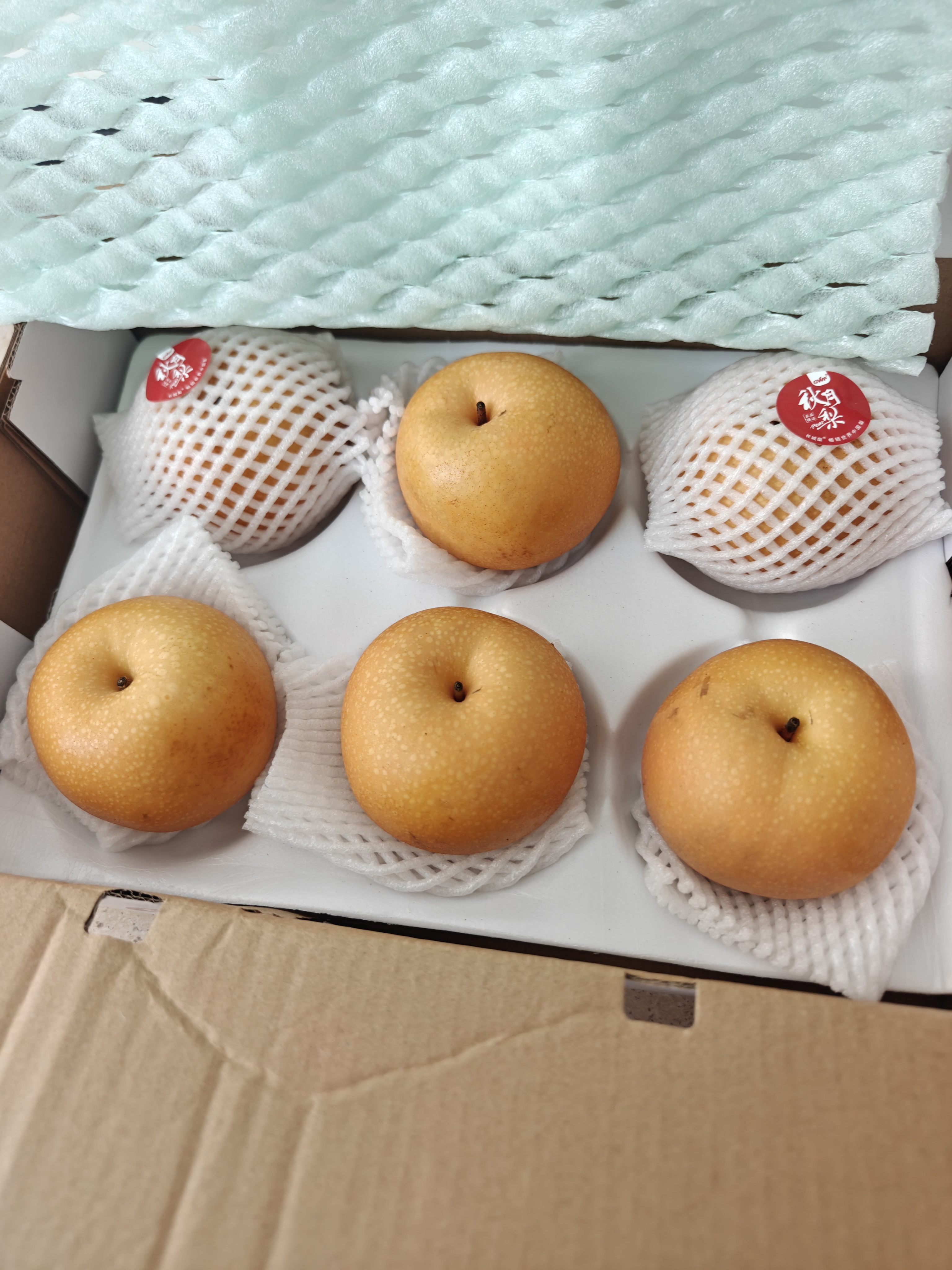 京鲜生 莱阳冰糖秋月梨 净重4.5斤装 大果5-7粒 单果300g+ 生鲜水果 实拍图