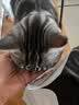 诚实一口P40全价猫粮成猫幼猫室内外80%鲜肉高蛋白长肉美毛鸡鱼味1.5kg 实拍图