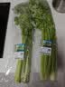 有机西芹400g 实拍图