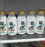 伊利金典鲜牛奶 3.8g乳蛋白235ml*4瓶 分享装巴氏杀菌 儿童早餐 实拍图