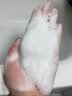 维特丝防脱洗发水生姜固发侧柏叶育控油去屑持久蓬松洗头膏露男女士专用 实拍图