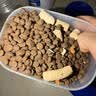 亿迪 猫粮冻干鸡肉全价成猫幼猫蓝猫英短橘猫加菲美短全阶段通用粮8斤 实拍图