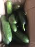 京喜加寿光新鲜无刺水果小黄瓜小青瓜脆甜荷兰脆嫩生吃黄瓜蔬菜 泡沫箱装 4斤 （净重 3.8） 实拍图