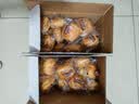 三只松鼠手撕面包1kg*2箱 早餐面包营养饱腹代餐酵母小面包糕点 实拍图