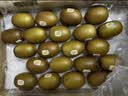 佳沛（zespri）金奇异果25-27粒原箱特大果124-146g猕猴桃中秋节礼品送水果礼盒 实拍图