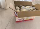 港荣蒸蛋糕奶香480g面包饼干纯蛋糕早餐零食西式糕点心礼品盒 实拍图