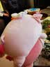 名创优品（MINISO）小猪B-BO翅膀猪玩偶毛绒公仔娃娃猪猪抱枕睡靠枕生日礼物女次日达 实拍图