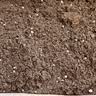史丹利3L包装营养土园艺有机土通用型种花种菜养花专用泥炭土壤种植土 实拍图