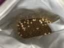 网易严选全价冻干双拼猫粮3.0 猫干粮成猫幼猫通用高鲜肉粮 自营金选1.8kg 实拍图