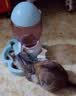 七彩缦冻干猫粮5斤2.5kg宠物幼猫成猫全阶段流浪20猫咪主粮深海鱼 鱼味猫粮5斤 实拍图