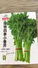 ldeal理想农业 四季小香芹种子盆栽庭院阳台易种四季蔬菜种籽芹菜种子 实拍图