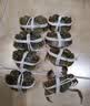 【活蟹】漁家师傅大闸蟹全母3.5-3.8两8只去绳足重鲜活螃蟹现货生鲜水产礼盒金秋送礼 实拍图