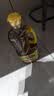 鲁花【保真菜籽油】食用油 低芥酸特香菜籽油 900ml 物理压榨  实拍图