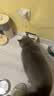 小甜橙猫咪饮水机无线智能宠物饮水机自动喝水器锂电池循环循环 实拍图