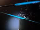 钓鱼王鲢鳙巨物方块饵料翻板爆炸钩专用鱼饵海杆抛竿酸臭鲤鱼窝料 鲢鳙草莓饼【16块*2包】 实拍图
