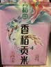 十月稻田 香稻贡米 东北大米 10斤（香米 粳米 5kg/公斤） 实拍图
