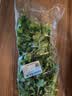 【火锅季】带根香菜100g 实拍图