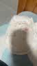 好奇（Huggies）金装小黑洞拉拉裤XXXL58(17kg以上)尿不湿【速干不易红】 实拍图