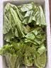 生吃意大利奶油生菜新鲜生菜即食沙拉蔬菜火锅烤肉整箱烧烤涮菜 地头现摘 鲜嫩脆甜 河南意大利生菜整箱5斤（净重4.6斤） 实拍图