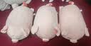 名创优品（MINISO）小猪B-BO玩偶抱枕娃娃公仔抱睡生日礼物女学生午睡枕趴趴bobo猪 实拍图