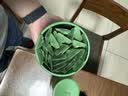 Inne因你竹节钙赖氨酸青少年6-18岁补钙儿童钙镁锌液体钙葡萄味*2罐 实拍图