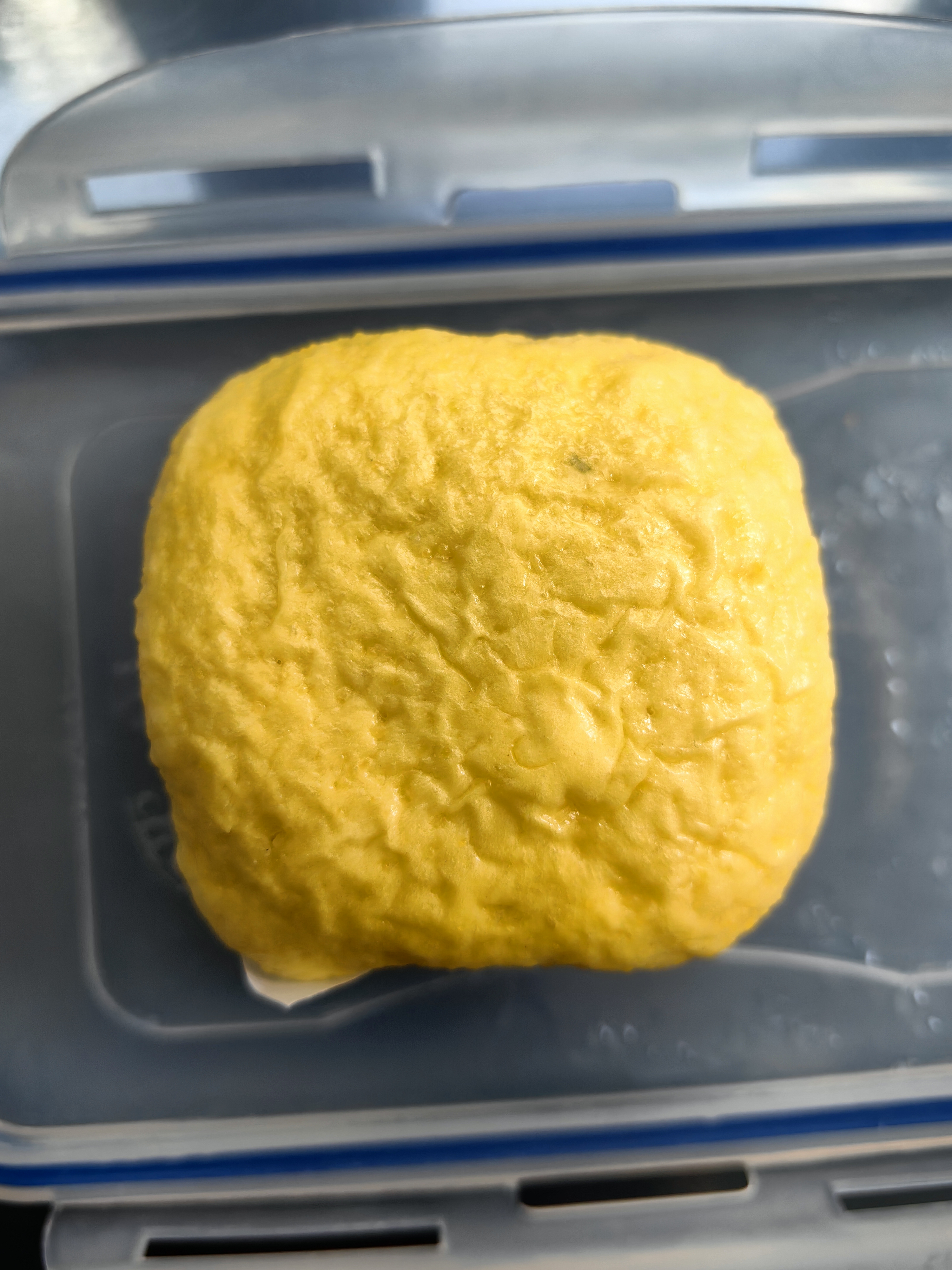 华田禾邦全麦蒲公英膳食包1kg 10个 手工菜团子粗粮杂粮包 速食早餐半成品 实拍图