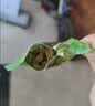 华味亨葡萄干400g/袋 新疆无核葡萄果干蜜饯小包装健康零食出游 实拍图