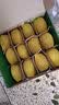佳沛（zespri）新西兰  阳光金奇异果12粒特大果单果124-146g 猕猴桃 实拍图