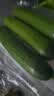 【水果菜】荷兰水果黄瓜约400g 实拍图