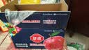 佳农烟台红富士【特大果】苹果 净重10斤单果220g+ 生鲜水果 源头直发 实拍图