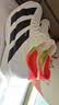 阿迪达斯（adidas）adidas Adizero Pro 4 碳柱箱根限定马拉松跑鞋JR1094 40 实拍图