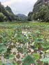 蕉下（beneunder）防晒帽男士遮阳帽子女全脸防晒面罩口罩渔夫帽钓鱼帽登山帽太阳帽 实拍图