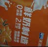 天润沙棘奶啤无酒精新疆风味乳酸菌含乳牛奶饮料新疆特产300ml*12罐 实拍图