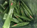 京东京造特浓三合一咖啡奶茶牛奶即溶无植脂末咖啡粉1500g袋装速溶冲饮 实拍图