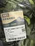 【安心菜】供港基地小油菜300g(青仔) 实拍图