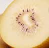 佳沛（zespri）新西兰金奇异果10个装单果重103-114g猕猴桃水果礼盒 实拍图