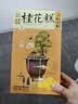 知味观桂花糕龙井绿茶味 杭州特产中式糕点心中华老字号老年人零食190g 实拍图