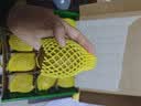 佳沛（zespri）新西兰金奇异果12粒特大果124-146g猕猴桃水果礼盒 实拍图