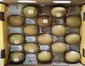 佳沛（zespri）新西兰金奇异果16粒经典果88-103g猕猴桃中秋节礼品送水果礼盒 实拍图