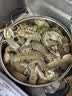 海速达皮皮虾 净重1斤15-22只 中大号满肉熟冻濑尿虾爬子虾婆姑 实拍图