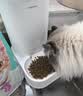 凯锐思天然猫粮成猫粮 鱼肉海洋鱼深海鱼天然粮 成猫20斤【囤货装】 实拍图