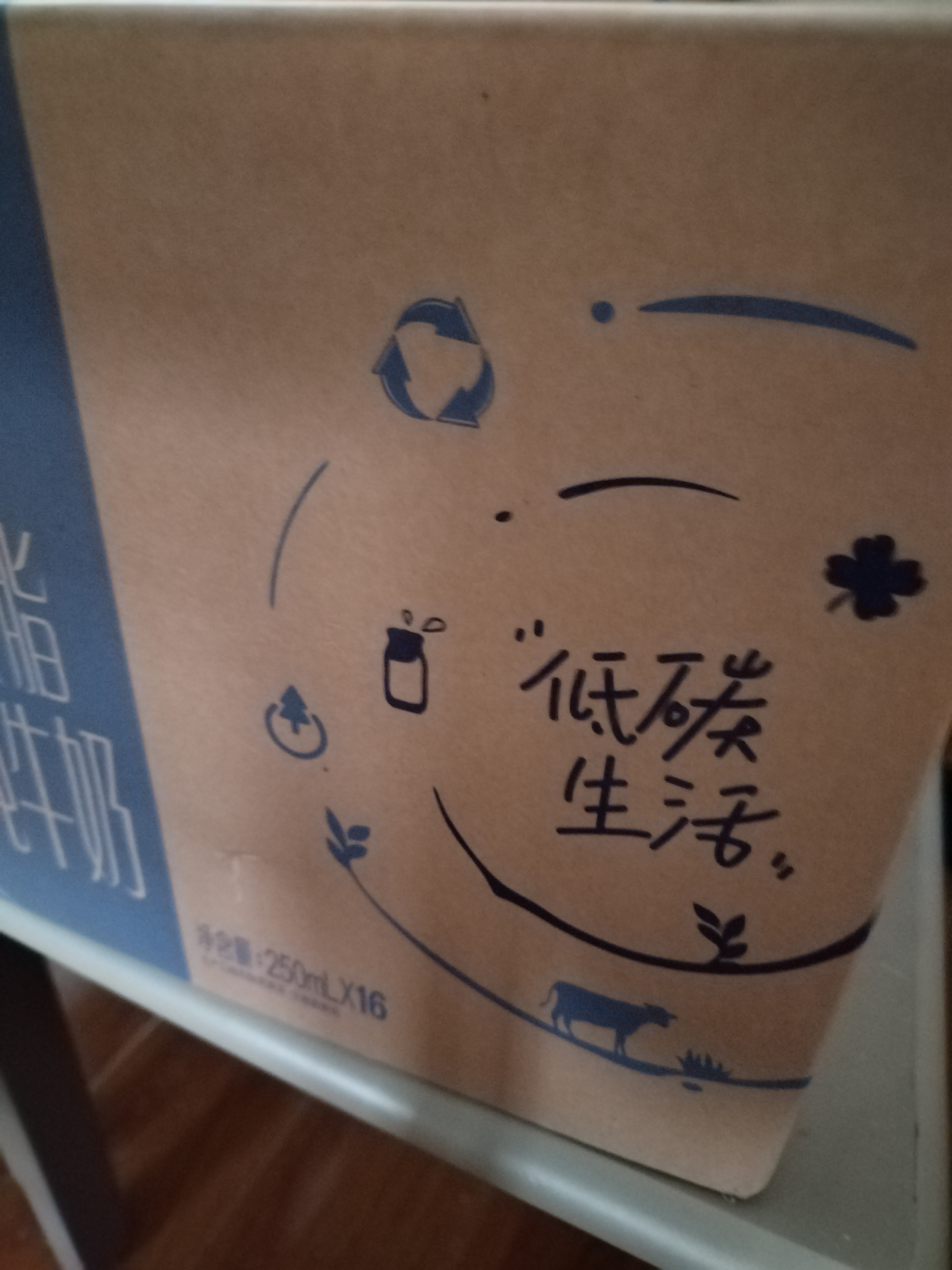 蒙牛特仑苏低脂纯牛奶250ml×16盒 3.6g蛋白 健身减脂 送礼礼盒 实拍图