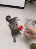 拜达尔宠物猫咪狗狗奶瓶新生幼猫幼犬专用喂奶食品级硅胶奶嘴防呛奶60ml 实拍图