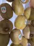 佳沛（zespri）绿奇异果优选果27-33个原箱装单果约103-135g水果 猕猴桃 实拍图