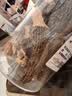 金唐羊肚菌50g（5-7cm）云南特产头茬肉厚山珍干货煲汤火锅食材 实拍图