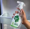 滴露（Dettol）家居除菌喷雾500ml冰箱清洁剂除臭婴幼儿儿童玩具油污净青苹 实拍图