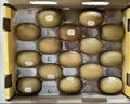 佳沛（zespri）新西兰金奇异果16粒经典果88-103g猕猴桃中秋节礼品送水果礼盒 实拍图