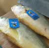 三都港 冷冻黄花鱼700g/2条装 大黄鱼深海鱼 生鲜鱼类 海鲜水产中秋礼品 实拍图