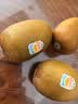 佳沛（zespri）新西兰金奇异果22粒巨大原箱146-175g猕猴桃水果礼盒 实拍图