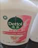 滴露（Dettol）洗手液液体经典松木500g+500g补充装儿童家庭护手替换 实拍图